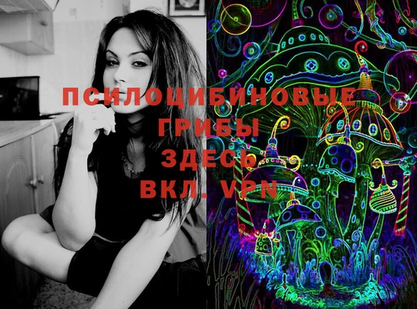 ПСИЛОЦИБИНОВЫЕ ГРИБЫ Богданович
