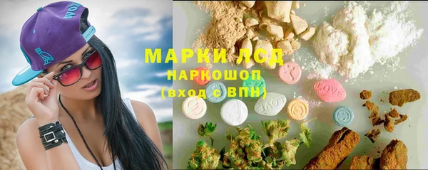 ПСИЛОЦИБИНОВЫЕ ГРИБЫ Богданович