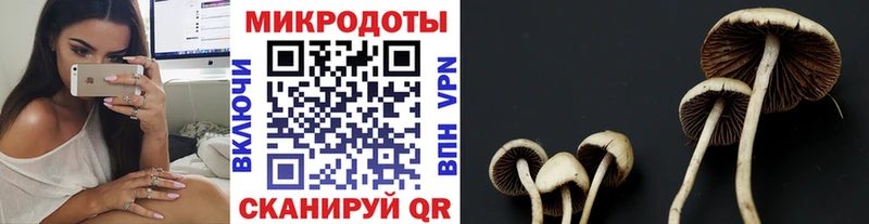 Псилоцибиновые грибы мухоморы  Цивильск 